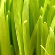 强劲且性能优异的在线ddos网页端