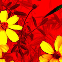 【在线云端版】即点即用的在线ddos网页端