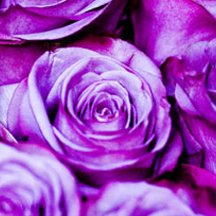 为企业省钱省力的DDOS攻击器