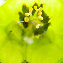 DDOS在线攻击平台